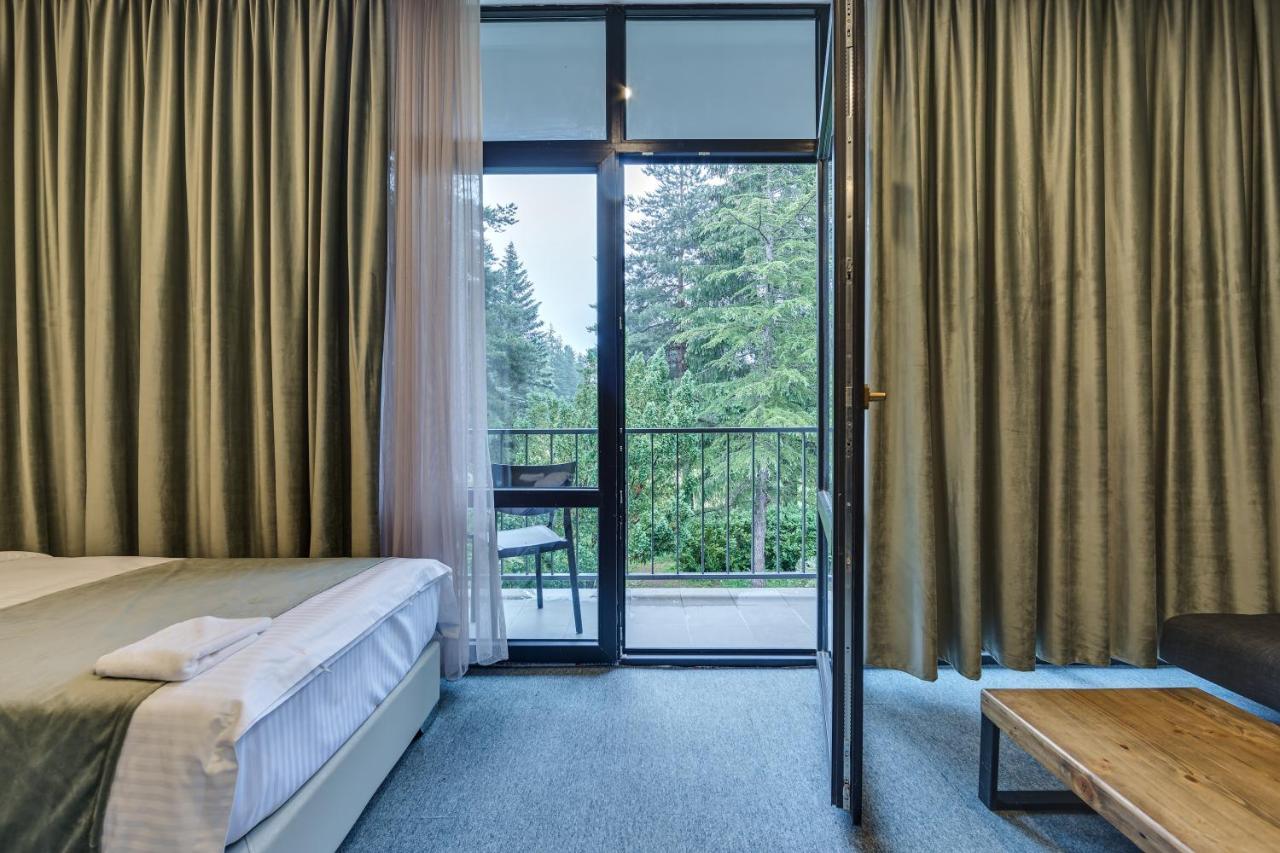 Mountain Resort Gantiadi ボルジョミ エクステリア 写真