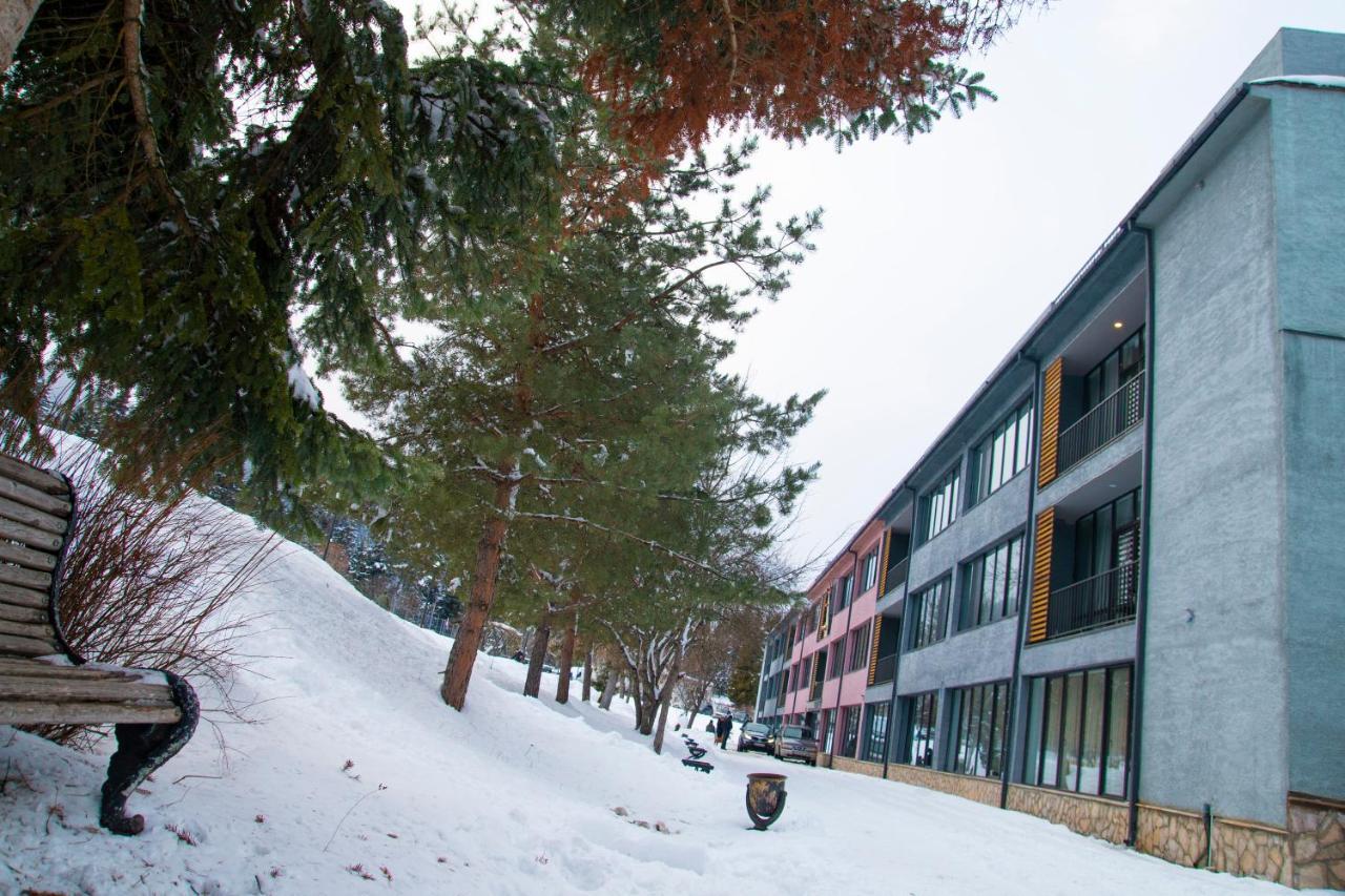 Mountain Resort Gantiadi ボルジョミ エクステリア 写真